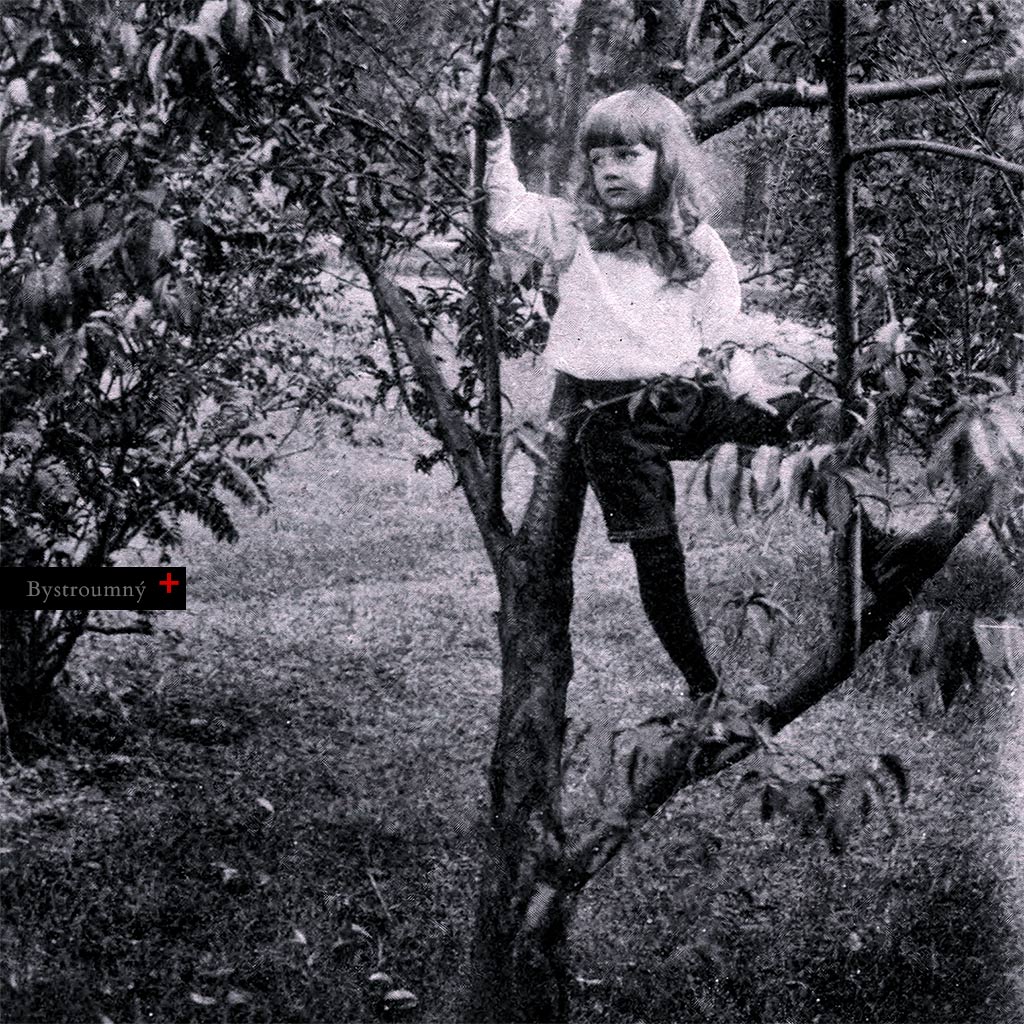 Moment detskej radosti, dobrodružstva a&nbsp;voľnosti. Historická dokumentárna fotografia z&nbsp;roku 1893 zachytáva malé dievčatko, Jane, ako sa snaží – nebojácne – prepliesť vetvami stromu. Dieťa na strome pripomína archetypálne postavy z&nbsp;rozprávok – odvážneho cestovateľa, ktorý sa nebojí vystúpiť mimo známe chodníky. Odhodlanie čeliť neistote: strach a&nbsp;nadšenie spojené dohromady v&nbsp;jednom okamihu.