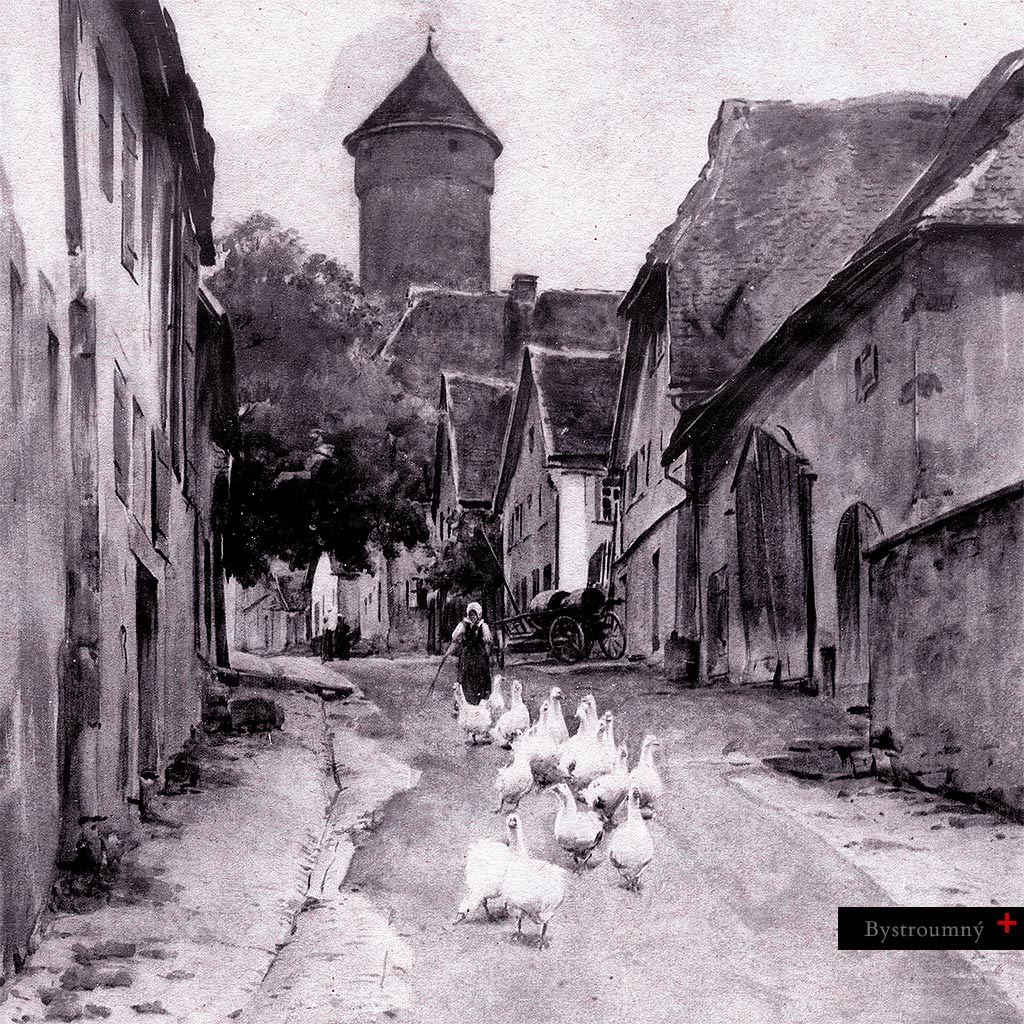Pochopenie dejín? Snaha pozdvihnúť sa z&nbsp;popola vlastnej minulosti? Jemná kresba zachytáva zdanlivo každodenný život. Na prašnej ceste nemeckej dediny – v období po prvej svetovej vojne – vidíme ženu, ktorá vedie húsky ulicou, symbolizujúc pokus o&nbsp;návrat k&nbsp;pokoju. No nie je to len ticho pokoja, ale zároveň aj rachotivá ozvena prázdnoty. Rok 1919: Európa sa snaží poskladať porozbíjané kosti toho, čo jej ešte ostalo. Snaží sa vrátiť sa do rytmu pôvodného života, ktorý už ale nikdy nebude rovnaký a&nbsp;mnohé generácie sa stanú navždy stratenými.